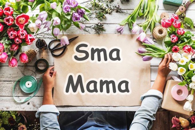 オイシックスの「Sma Mama」キャンペーン